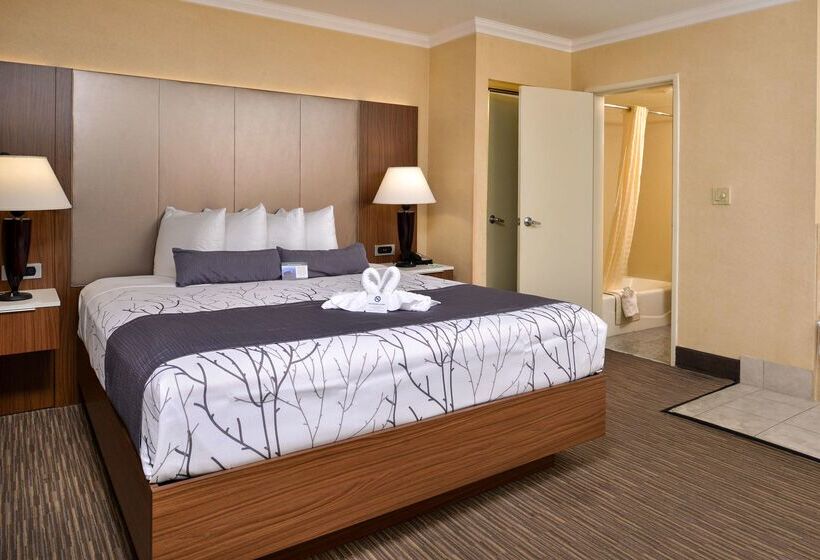 Best Western Hollywood Plaza Inn Hotel Hollywood Walk Of Fame La