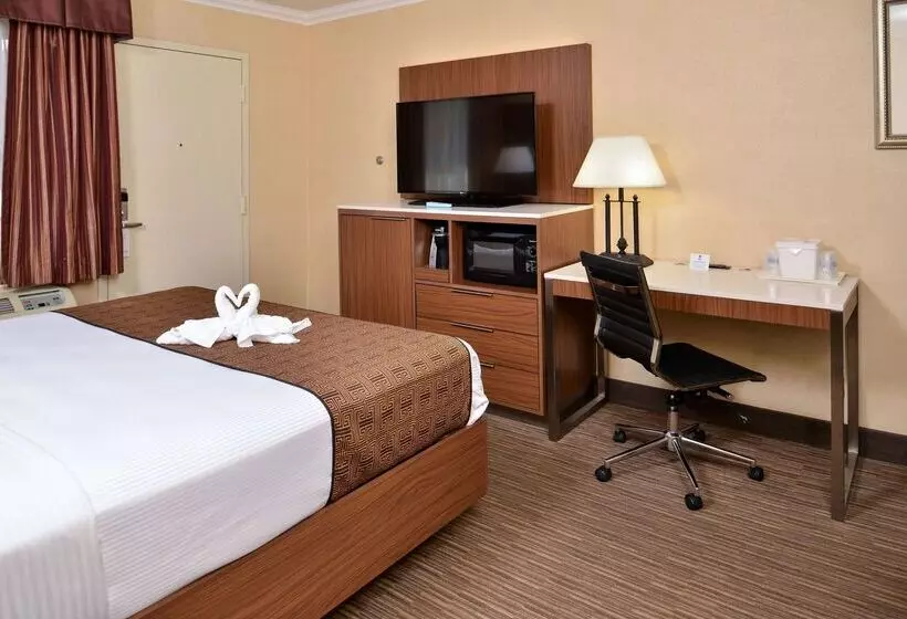 Best Western Hollywood Plaza Inn Hotel   Hollywood Walk Of Fame La