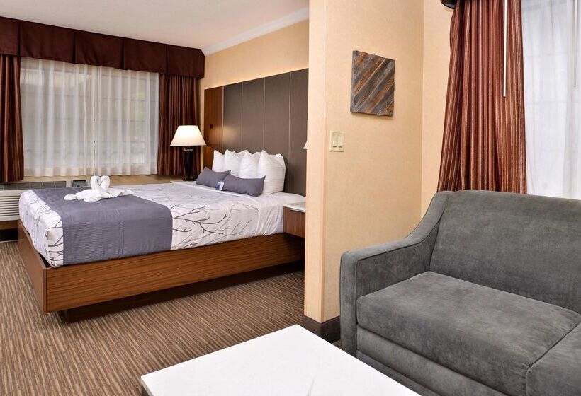 Best Western Hollywood Plaza Inn Hotel Hollywood Walk Of Fame La