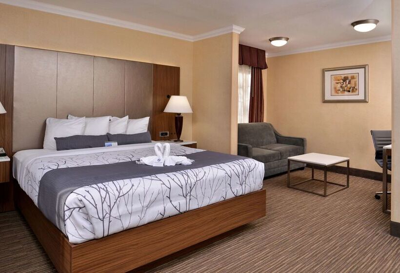 Best Western Hollywood Plaza Inn Hotel Hollywood Walk Of Fame La