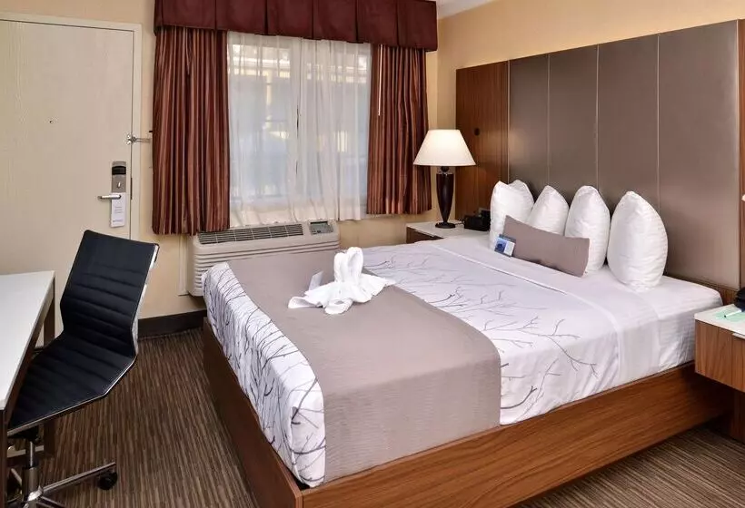 Best Western Hollywood Plaza Inn Hotel   Hollywood Walk Of Fame La