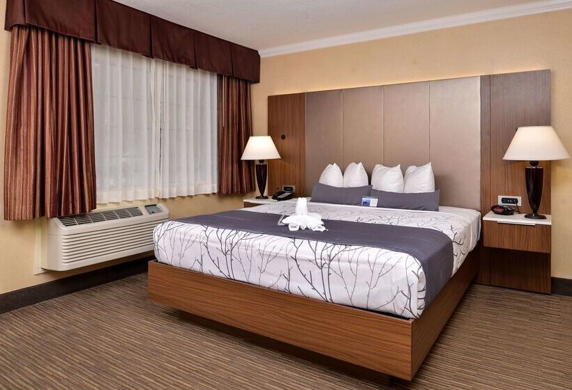 Best Western Hollywood Plaza Inn Hotel Hollywood Walk Of Fame La