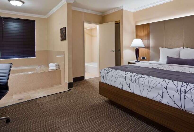 Best Western Hollywood Plaza Inn Hotel Hollywood Walk Of Fame La