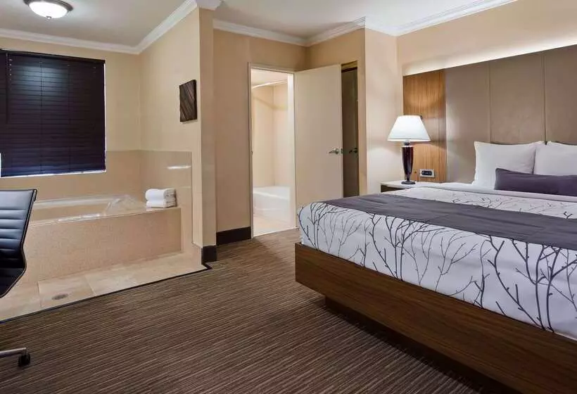 Best Western Hollywood Plaza Inn Hotel   Hollywood Walk Of Fame La