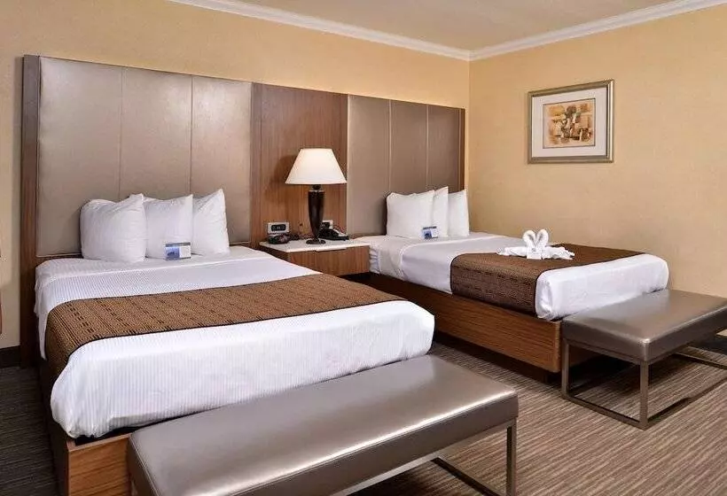 Best Western Hollywood Plaza Inn Hotel   Hollywood Walk Of Fame La