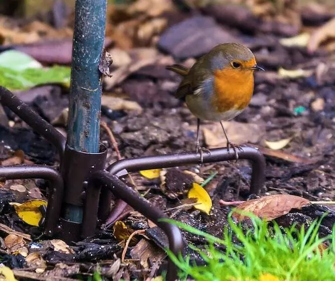 Cairn Hotel & Apartments
