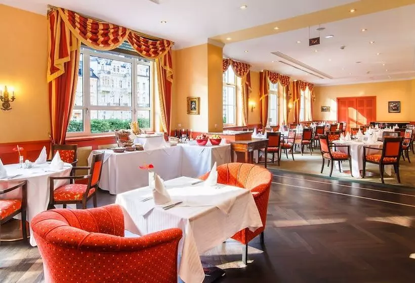 فندق Dvorak Spa & Wellness