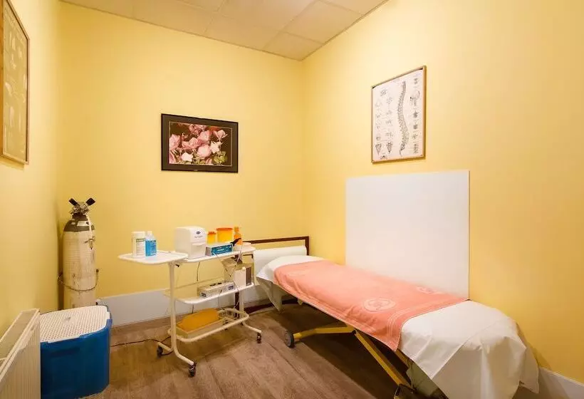 فندق Dvorak Spa & Wellness