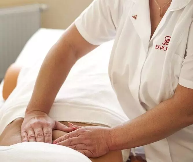 فندق Dvorak Spa & Wellness