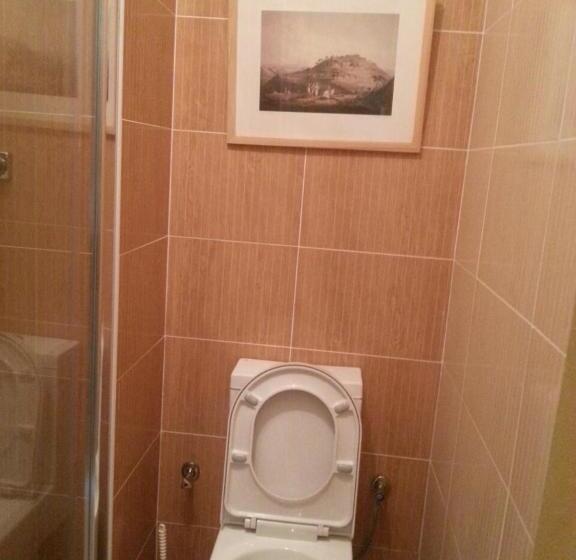 בית מלון כפרי Goha