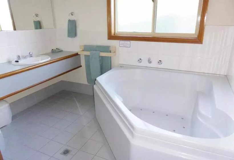 酒店 Victoriana Motor Inn