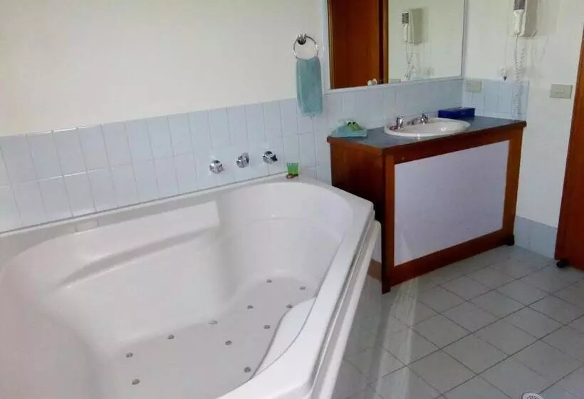 酒店 Victoriana Motor Inn