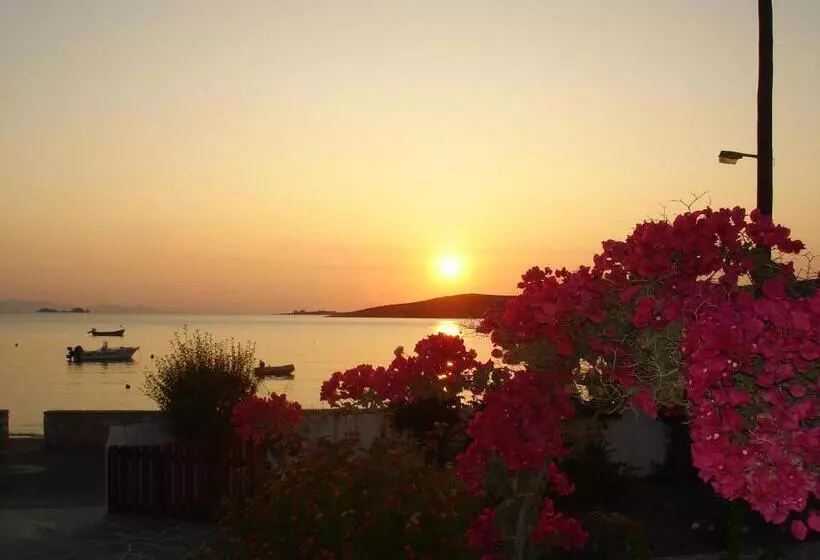 Irene Hotel Beachfront