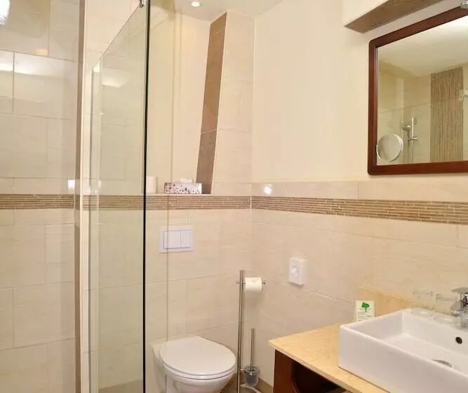 Отель Arena City