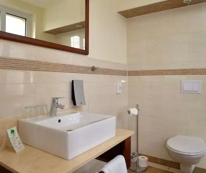 Отель Arena City