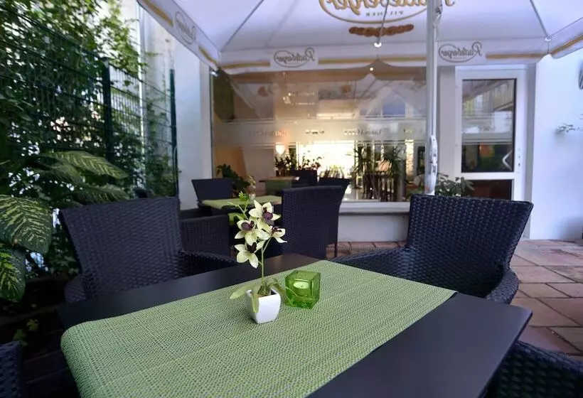 Отель Arena City