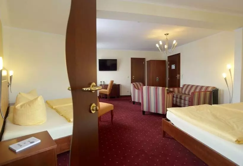 Отель Arena City