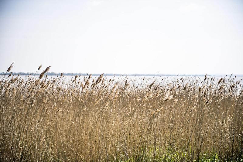 Hotel Chateau Cordeillanbages