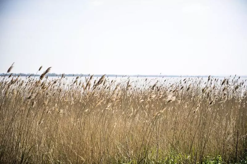 Hotel Chateau Cordeillanbages