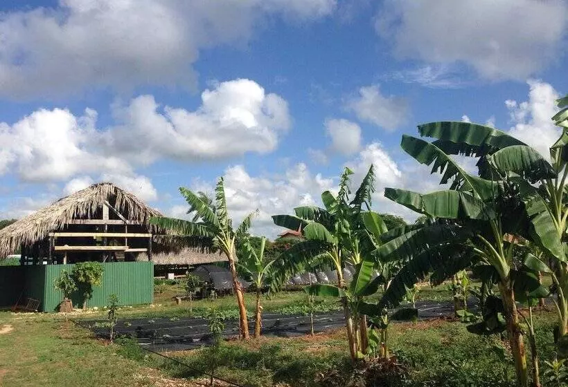 هتل Caserma La Romana Bayahibe