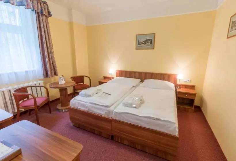 فندق Ensana Vltava