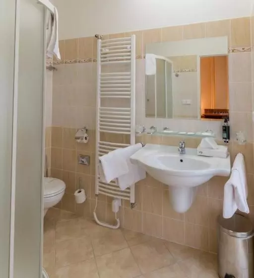 فندق Ensana Vltava