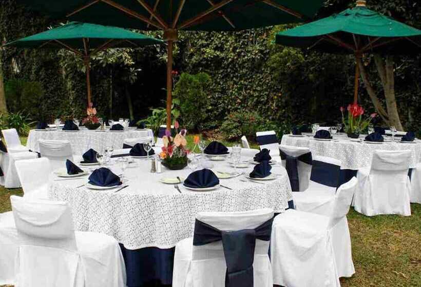 فندق Pedregal Palace