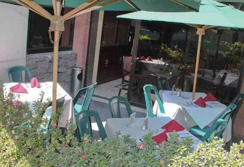 هتل Pedregal Palace