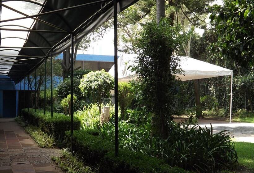 فندق Pedregal Palace