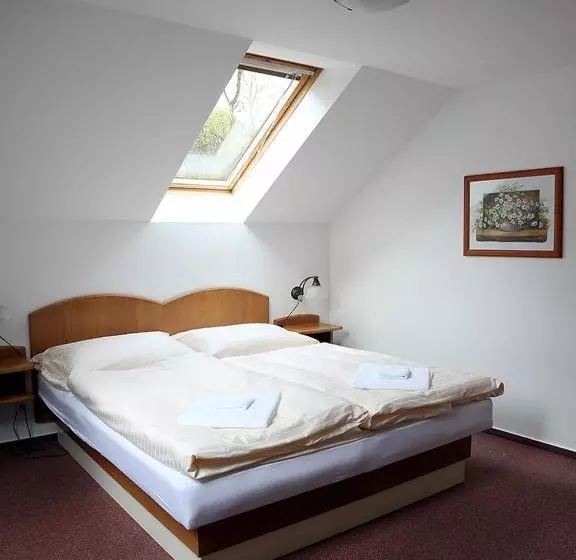 Отель Zámecký  U Rajských