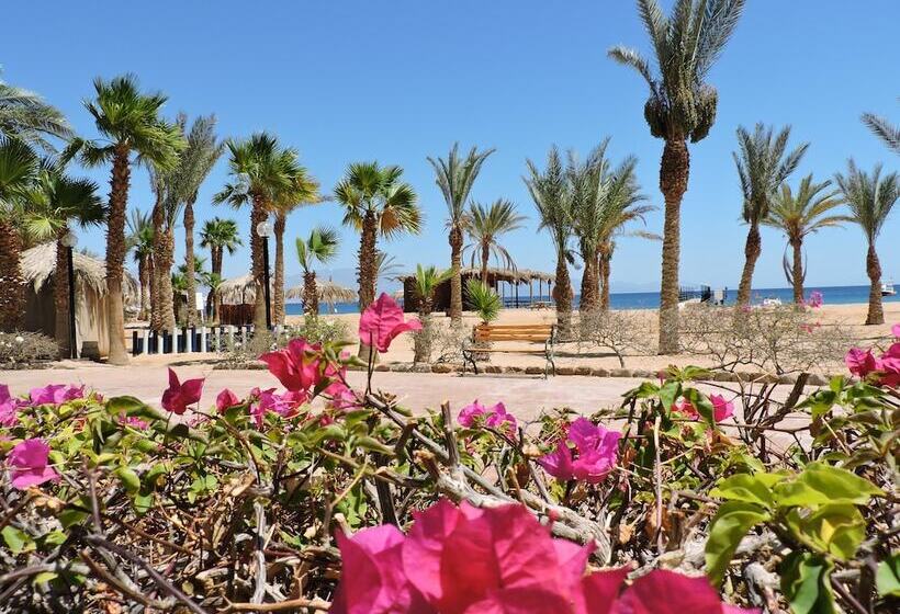 Time Coral Nuweiba Resort