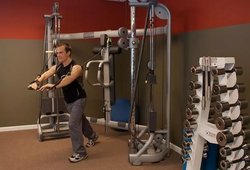 فندق The Essex Resort & Spa