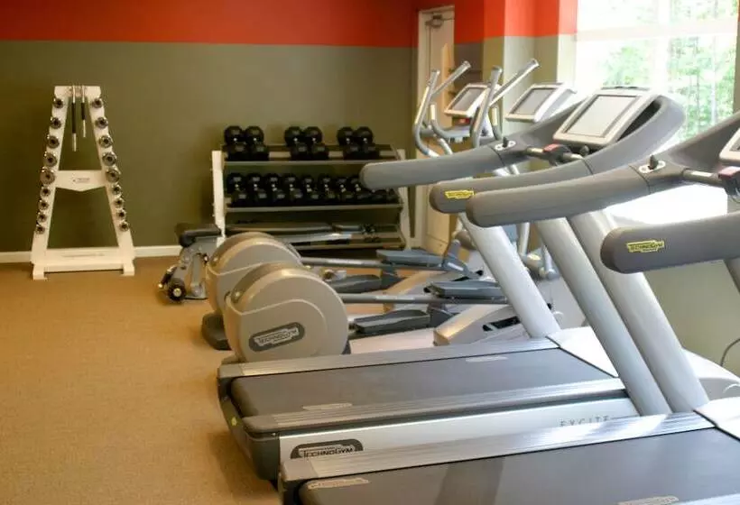 فندق The Essex Resort & Spa