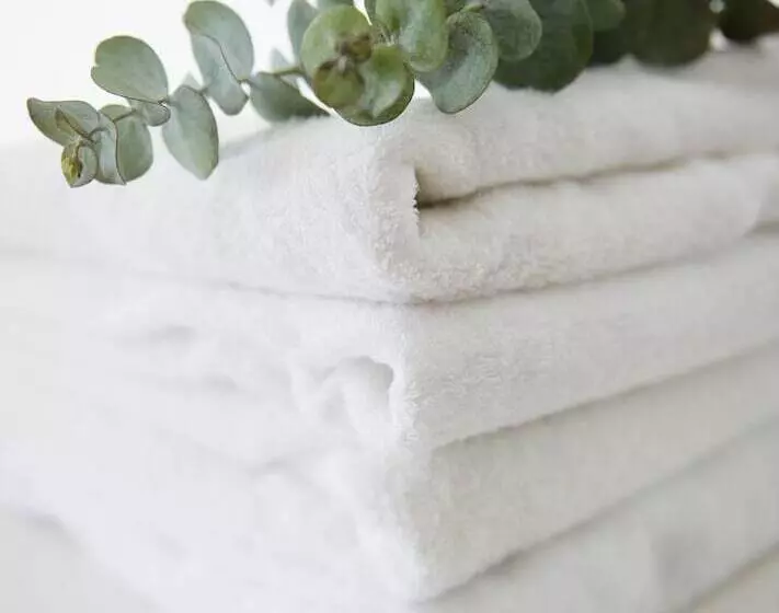 فندق The Essex Resort & Spa