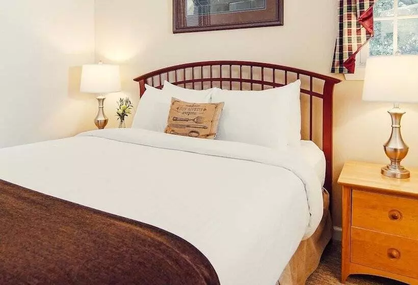 فندق The Essex Resort & Spa