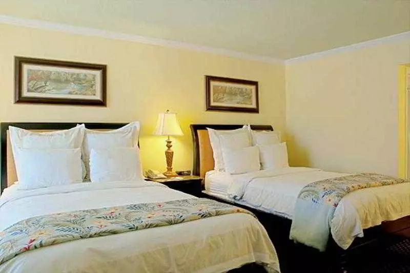 Reefhouse Resort And Marina