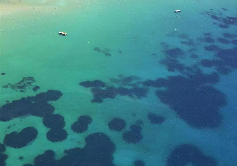 فندق Four Seasons Astir Palace Athens