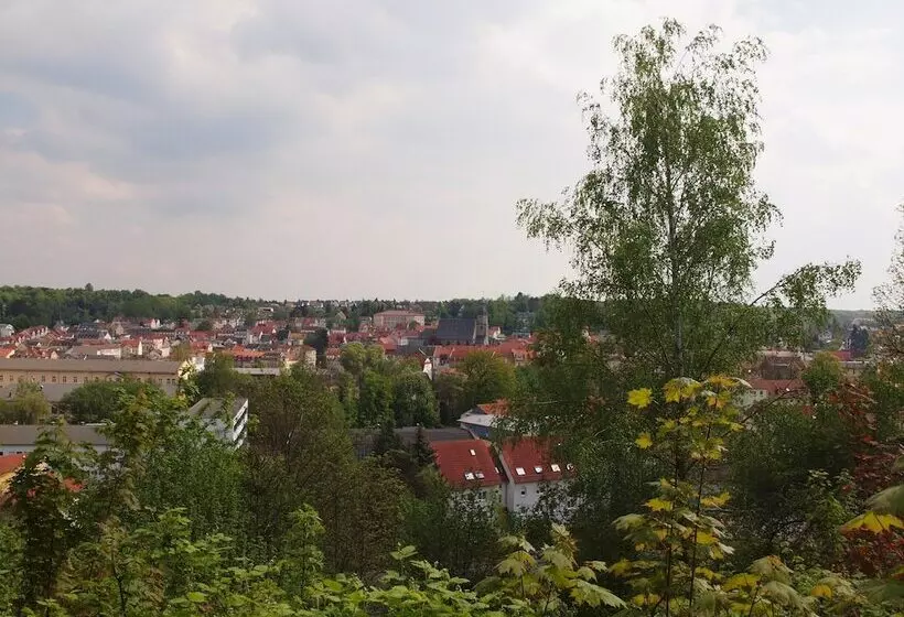 Отель Bellevue Schmölln