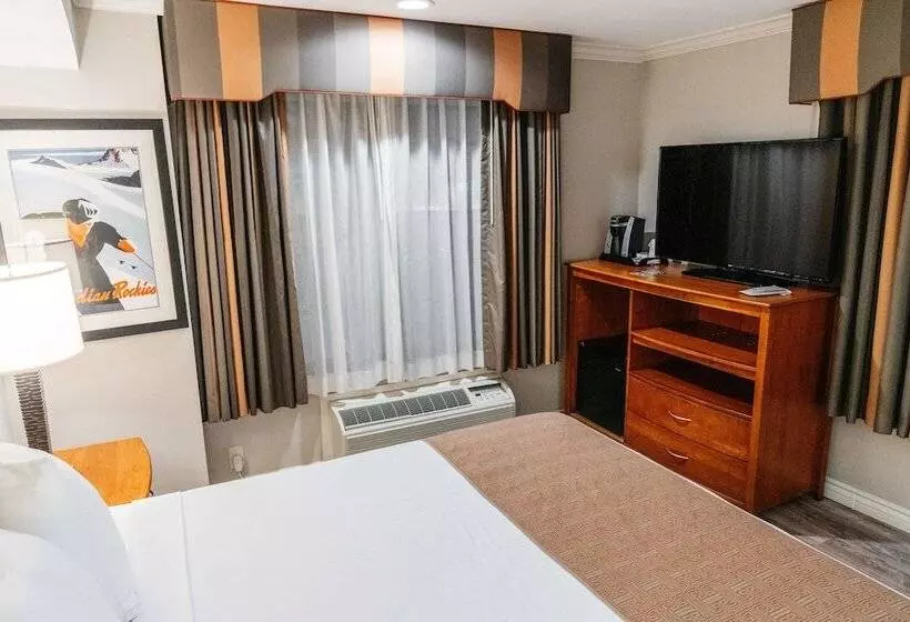 酒店 Best Western Palm Garden Inn