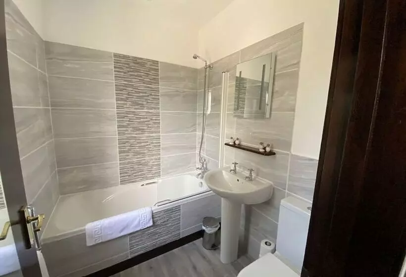 Отель The Griffin Llyswen