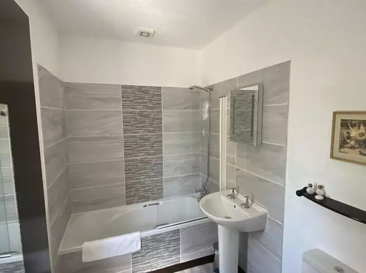 Отель The Griffin Llyswen