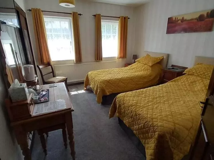 Отель The Griffin Llyswen