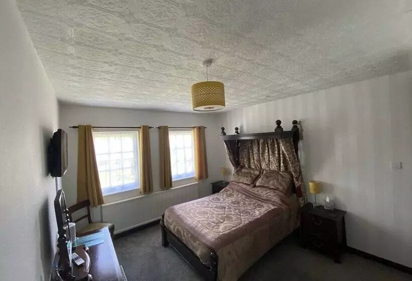 Отель The Griffin Llyswen