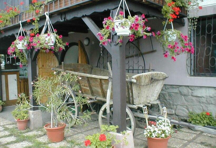 Отель Krisztina Panzió