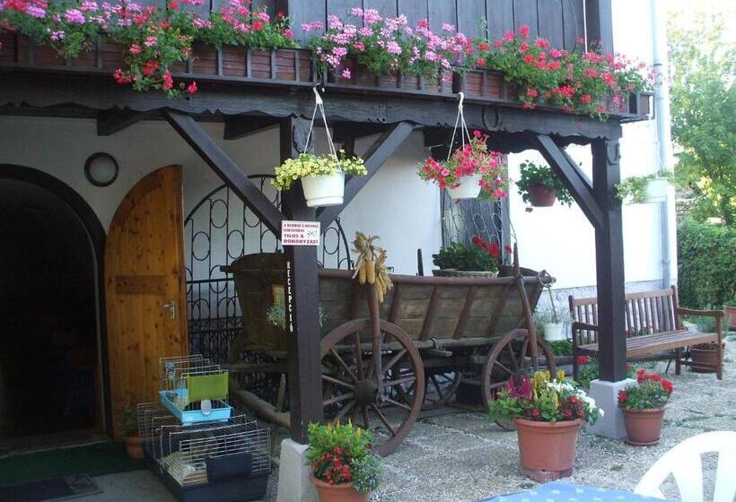 Отель Krisztina Panzió