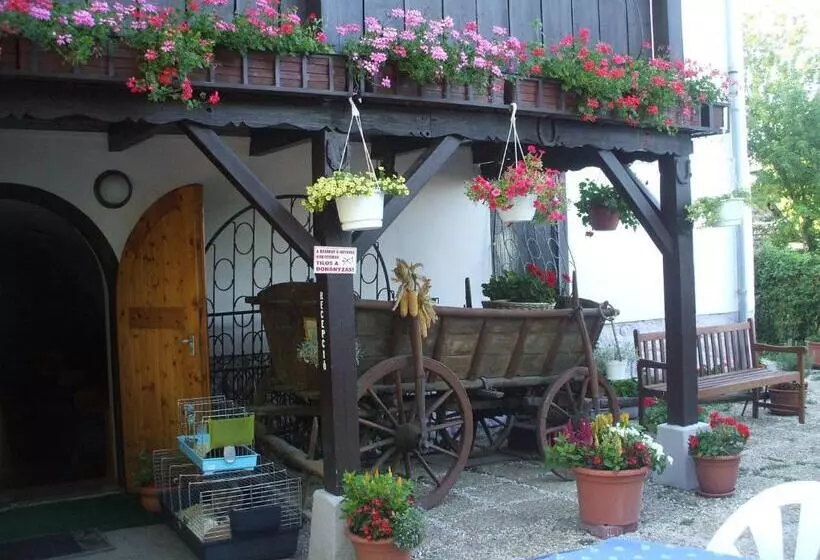 Отель Krisztina Panzió