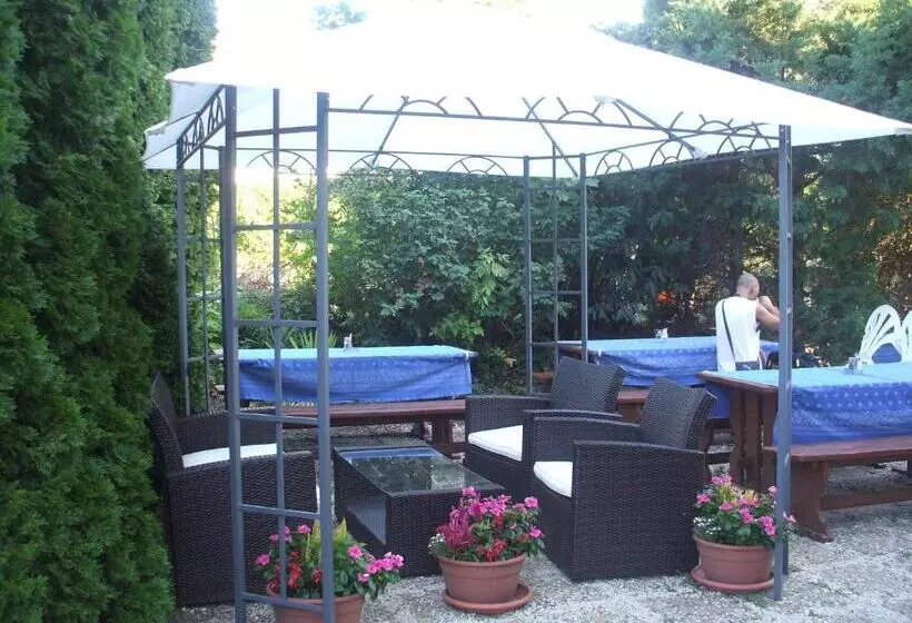 Отель Krisztina Panzió