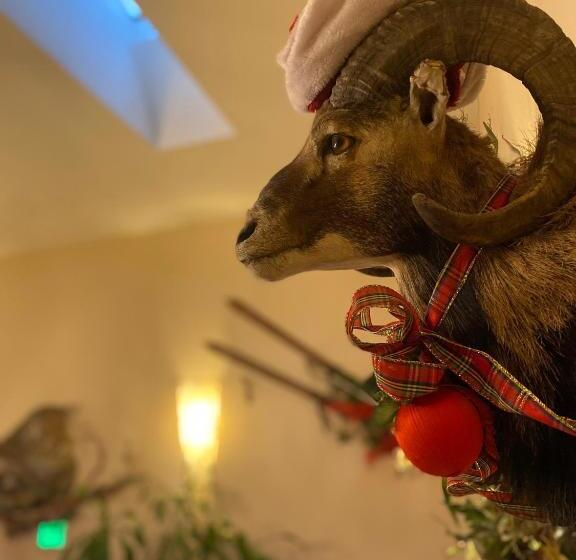 فندق Browns Canyon Inn