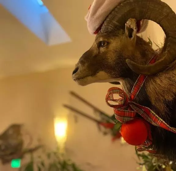 Отель Browns Canyon Inn