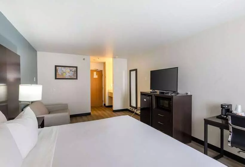 Hotel Quality Inn Winslow I 40